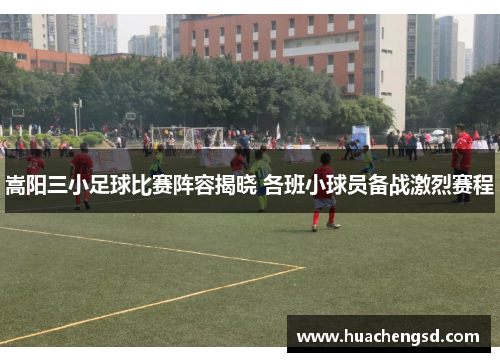 嵩阳三小足球比赛阵容揭晓 各班小球员备战激烈赛程